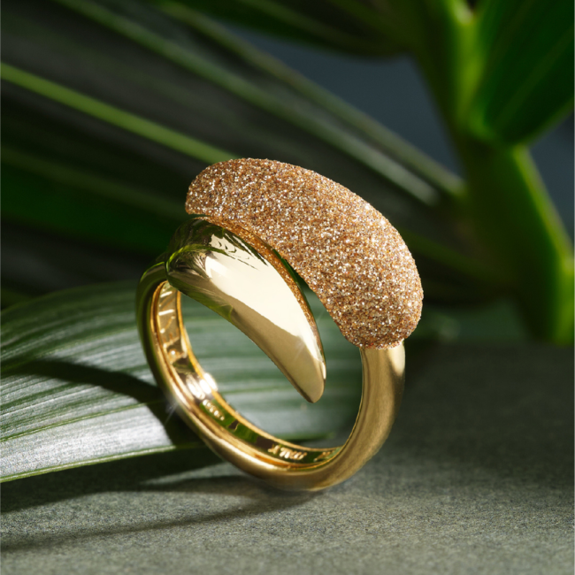 Pesavento.Ring.16-06.JuwelierRothUlm